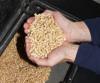 ENERGY WOOD PELLETS FOR SALE