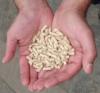 ENERGY WOOD PELLETS FOR SALE