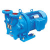 2BV2 Water Ring Vacuum Pump/Compressor