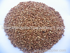 Superior quality Roasted buckwheat kernels with competitive price