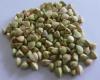 Raw buckwheat kernels 2013 crop