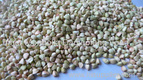 Superior quality Raw buckwheat kernels with competitive price