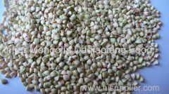 Superior quality Raw buckwheat kernels with competitive price 2013