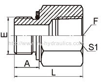 BSP male o-ring/ NPT female adapters 5GN