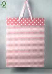 Promotional Colored paper gift bag