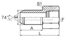 JIC male bulk head/ NPT female Fittings