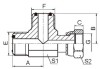 ORFS male/ ORFS femal run hydraulics fittings CF