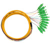 SC/APC Single Mode Break-out Fiber Optic Pigtail