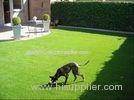 22mm Dtex10500 C Shaped Pet Artificial Grass Ornaments Fake Turf Grass , 3/8 Gauge