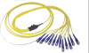 SC Single Mode Fan-out Fiber Optic Pigtail