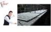 Indoor hotel G13 18W T8 LED Tube Light With PFC 0.95 , Cool White 6000K LED
