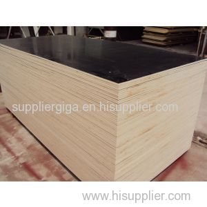 Ply wood / film faced plywood / marine plywood
