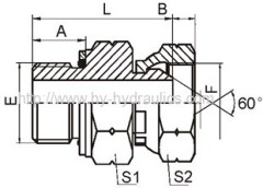 BSP male o-ring/ BSP female 60° Adapters 2GB