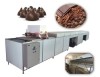 Chocolate Chip Depositing Machine