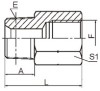 BSPT male/ BSP female Fittings