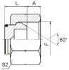 BSP female 60° cone Plugs 9B