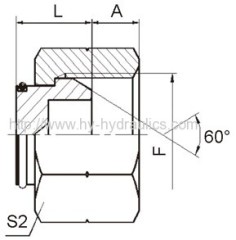 BSP female 60° cone Plugs 9B