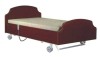 TwoFunction Stylish Home Care Medical Bed