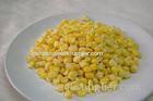 Sweet IQF Frozen Corn Kernels , Healthy Frozen Vegetables with BRC ISO22000