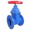 Yinclun Brand Cast Iron Gate Valves