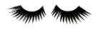 Synthetic Black Handmade Party False Eyelashes , Soft Curls