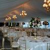 Wedding Tent Hire Wedding Tent Hire