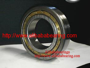 80FC56410 Cylindrical roller bearing