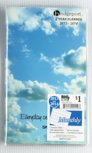 blue sky pocket daily planner book