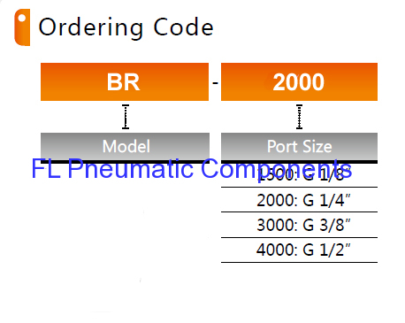 BR2000 Pneumatic Air Regulators