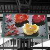 Electronic Display Signs with 10,000 Pixels Resolution and Pixel Pitch of 10mm