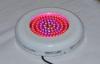 180 Watt UFO LED Grow Light , Hydroponic LED Grow Lighting CE ROHS