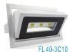 30W COB LED Flood light