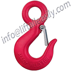 Eye Hook with Latch