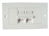 2-port UK type Flat Faceplate