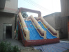 Wet N Dry Inflatable Slide