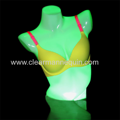 Blue LED light PC torso mannequin