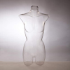 Transparent female torso mannequin wholesale