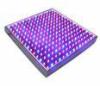 12W-3GS red, blue led hydroponic& Horticulture & greenhouse grow lights 120x62x62mm