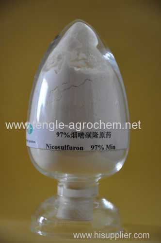 Herbicide Nicosulfuron 95%Min. technical