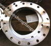 Stainless steel F304L plate flange