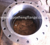 Galvanized carbon steel weld neck flange