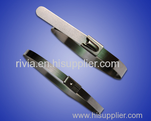 Pvc Coated SS Cable Ties