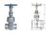 DS / Z64H Pipeline Cast steel gate valve water sealed by flange and welding