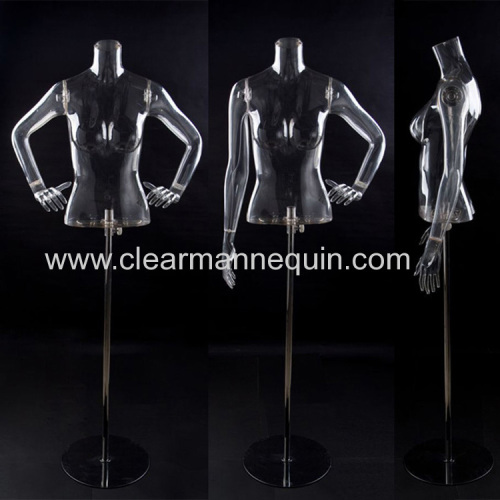 Female headless transparent torsos mannequin