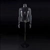 Female headless transparent torsos mannequin