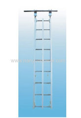 Aluminum Alloy Hook Ladder