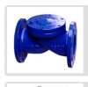 check valves & check valves