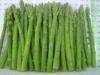 Healthy IQF Quick Frozen Root Vegetables , New Crop Frozen Green Asparagus