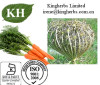 Carrot Seed Oil; Carotene30%,35%min. by HPLC