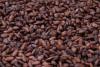 cocoa beans coffee beans green mung bean